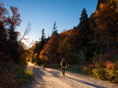 Cobble, Cobble: Two Weeks in Maple