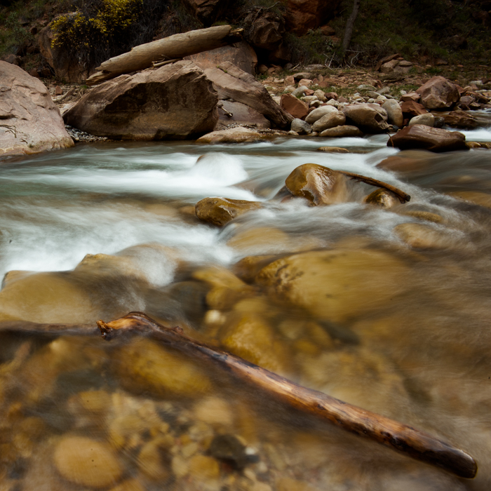 Zion_AngelsLanding-7602