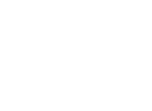 DesignEgg