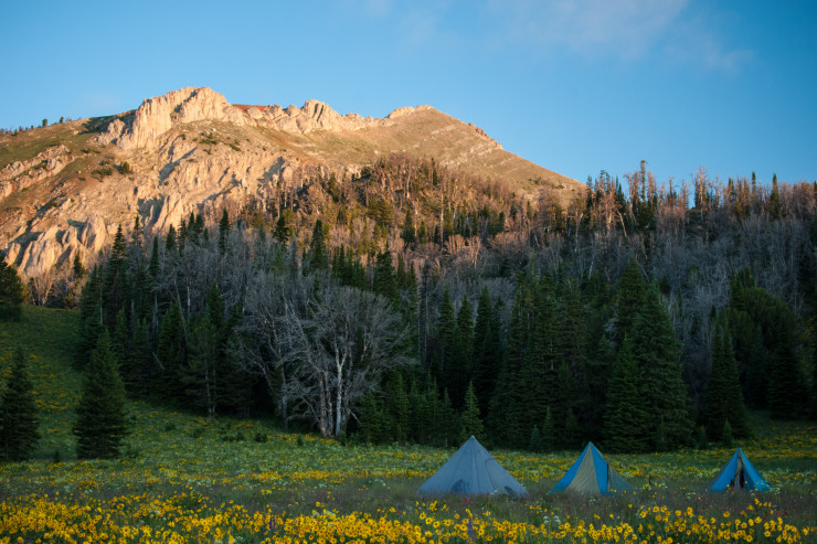 Montana Wilderness School