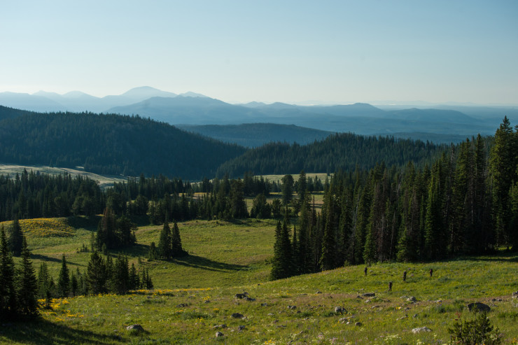 Montana Wilderness School